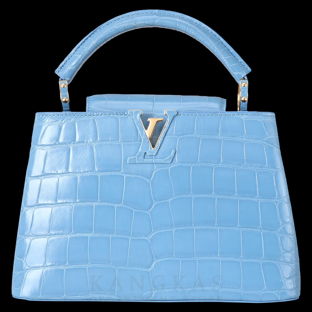 LOUIS VUITTON(USED)루이비통 와니 카퓌신 BB